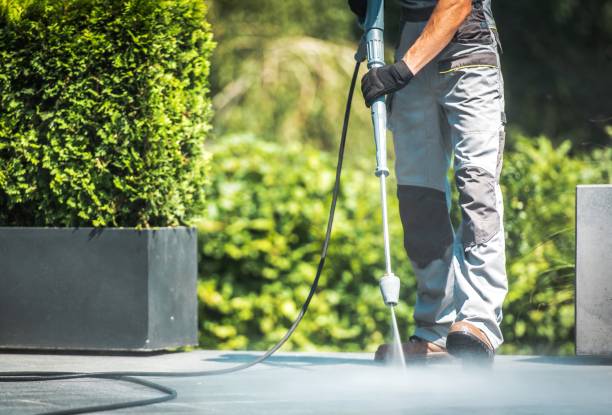 Best Warehouse Cleaning  in Staunton, IL