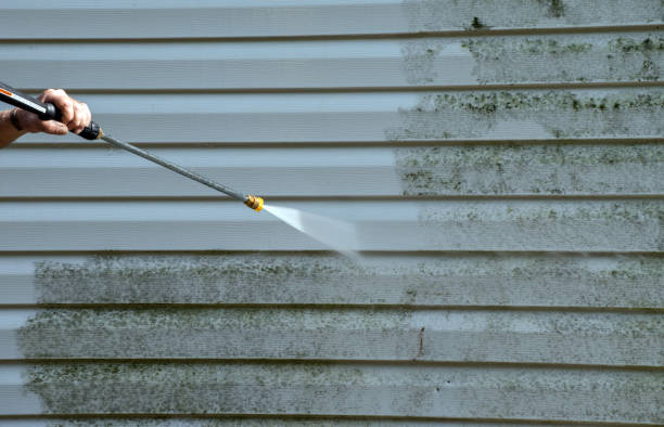 Best Animal Enclosure Cleaning  in Staunton, IL