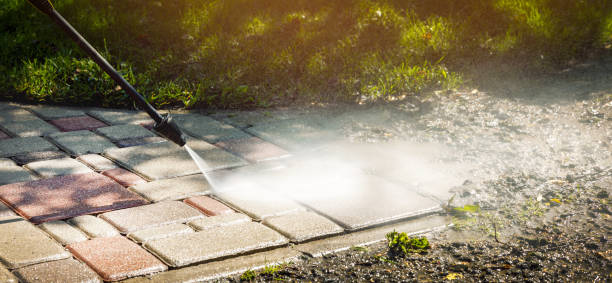 Best Driveway Pressure Washing  in Staunton, IL