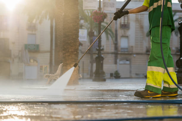 Best Roof Washing  in Staunton, IL